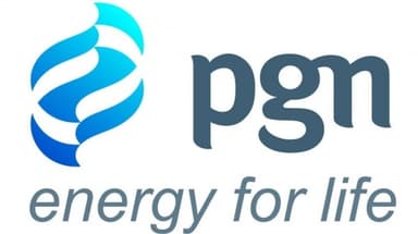 PT Perusahaan Gas Negara Tbk (PGN)